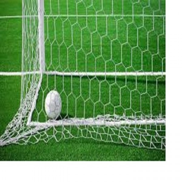 Soccer net PP Hexagon