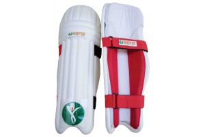 Batting & Wicket Keeping Pads