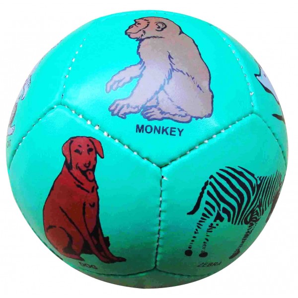 Mini Soccer Elementary Education ball